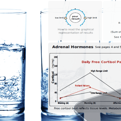10 day water fast results