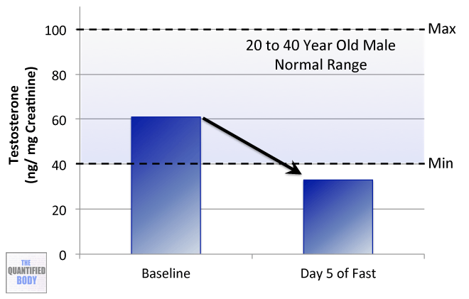 Testosterone: 10 day fast