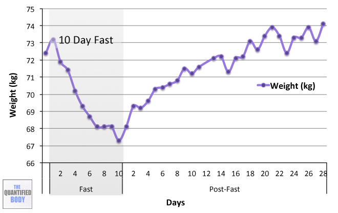 10 Day Water Fast Results: Ketones, Glucose, Weight ...